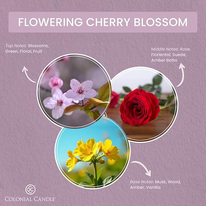 Colonial Candle Flowering Cherry Blossom Scented Candle Jar, Highly Fragranced Candles for Home Scented, Mottled Wax Candle, 2 Wick, 8 oz - Made in The USA - Bloomnest