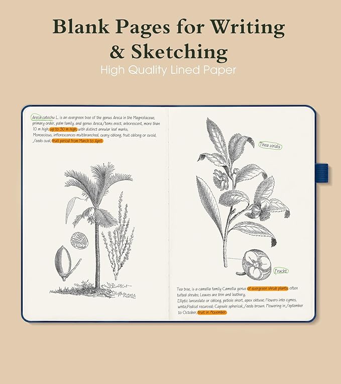 PAIBAS Blank Journal Notebook for Women Men,160 Pages,A5 Hardcover Sketchbook for Drawing, Sketch book, Unlined Notebooks for School,Work, Note Taking,Travel Journals for Writing 5.8"x8.5" (Black) - Bloomnest