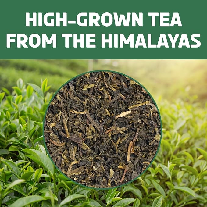 BREWIX, Green Tea Loose Leaf (50+ Cups, 3.53oz/100g) Gluten Free I High Elevation Grown Green Tea Leaves | Pure Single Origin Sourced Direct from India - Bloomnest