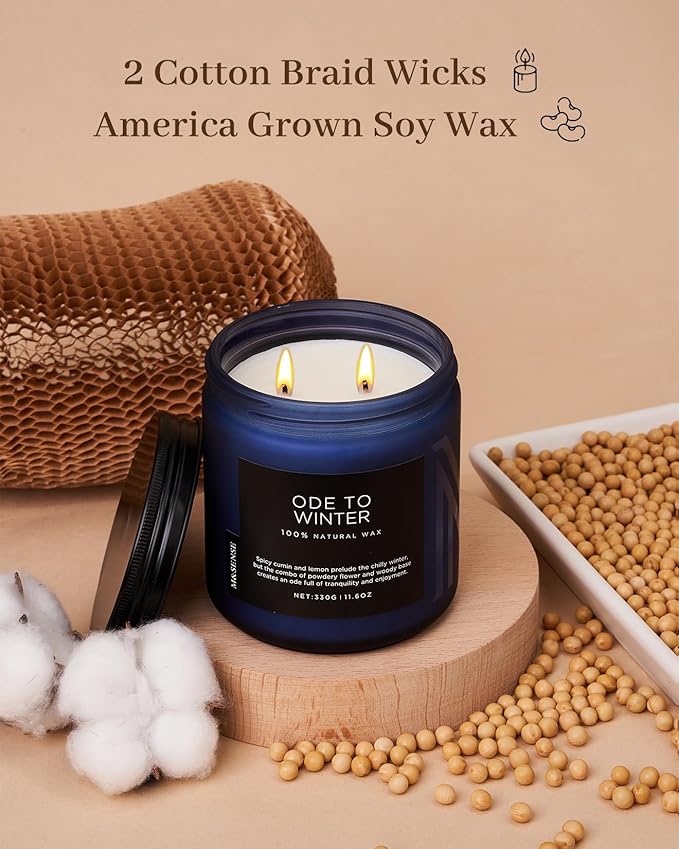 M&SENSE Ode to Winter 11.6oz Natural Soy Wax Non Toxic Candle, Up to 70 Hours Burn Time Winter Scents, 2 Cotton Wick Jar Candle Home Scented Gift - Bloomnest