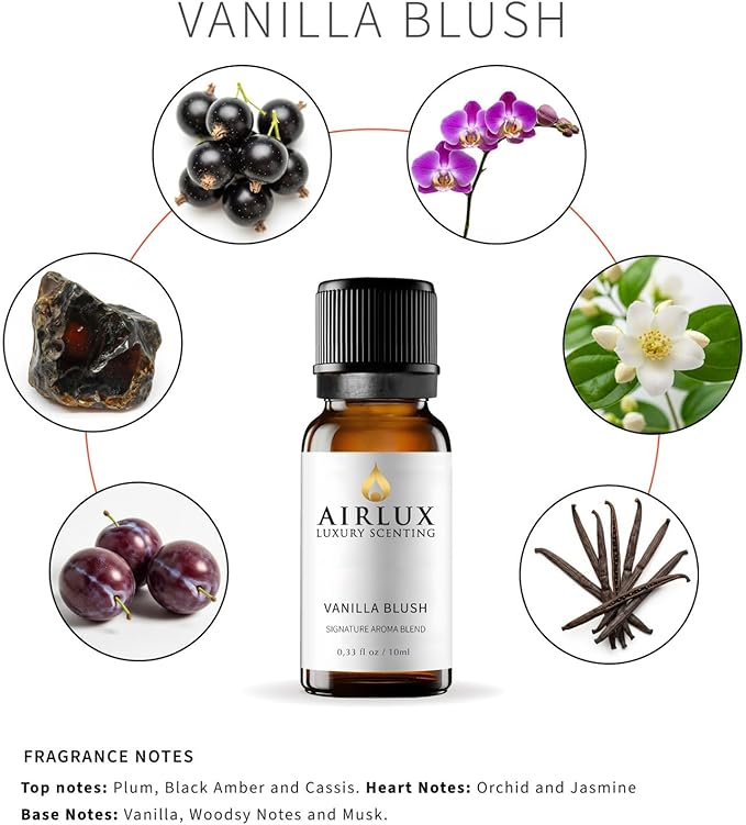 Signature Aroma Oil No. 214 Vanilla Blush – Plum, Black Amber, Cassis – Aroma Oil for Cold Air & Waterless Diffusers and DIY Crafts – 10 mL, 0.34 fl oz Glass Bottle Airlux
