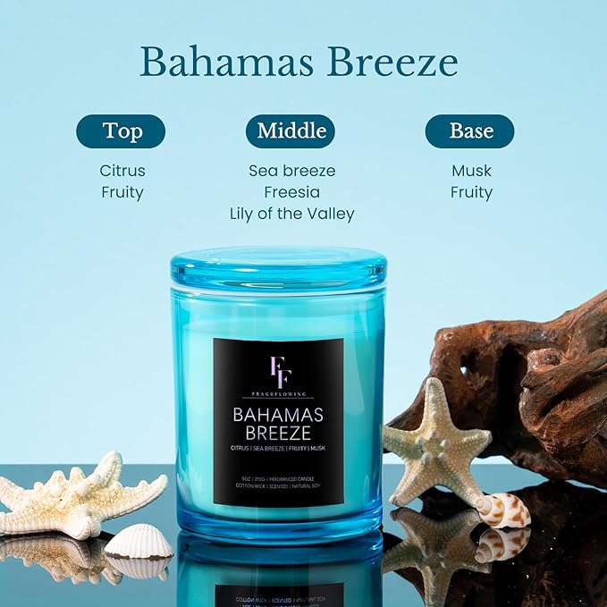Bahamas Breeze Scented Candle, 2-Wick Luxury Soy Wax Candle, 9 oz Aromatherapy Candle Home Fragrance Candles Gift - Bloomnest
