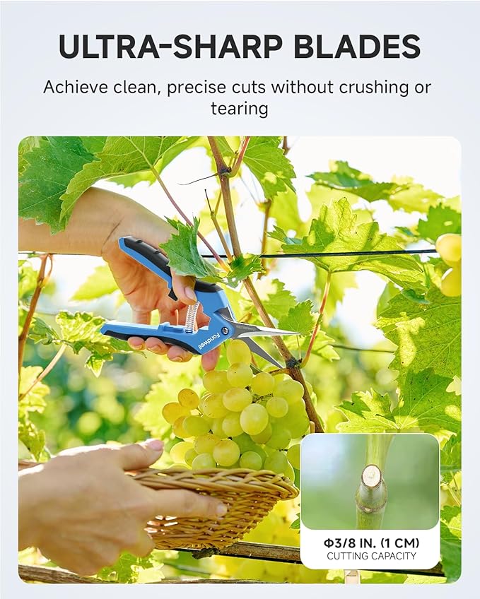 Fondwell 6.5" Gardening Scissors Trimming Shears: 2 Pack of Trimming Scissors for Buds - Comfortable Hand Pruners with Curved Blades - Bloomnest