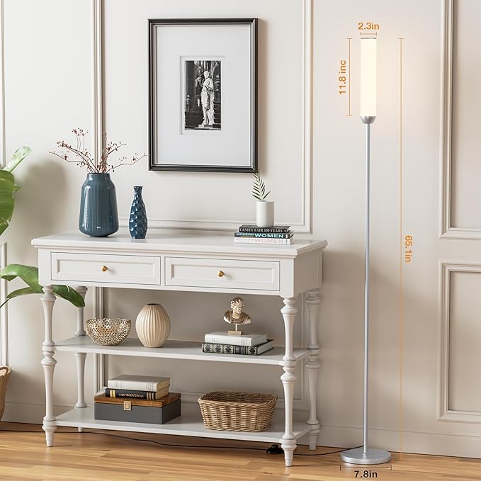 LED Floor Lamp with Remote Control, 65" Standing lamp with Stepless Adjustable 3000K-6500K Colors & 5%-100% Brightness, Foot Switch(Silver) - Bloomnest