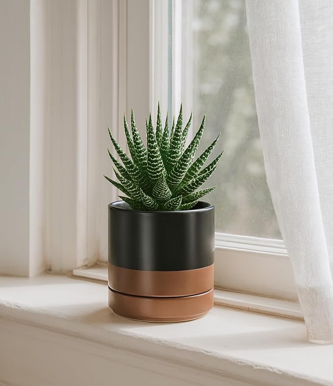 D'vine Dev Set of 2 Plants Pots, 4.7 Inch Ceramic Planter Pot for Plants with Drainage Hole and Saucer, Black/Speckled Tan, 94-V-B-7 - Bloomnest