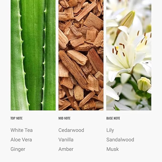 Dream on Essential Oil Scent 500mL - Luxury Home Aromatherapy Diffuser Oil - Formulated with Hints of Bright White Tea, Sweet Vanilla, & Earthy Cedar - Inspired by One Hotel Miami Beach - Bloomnest