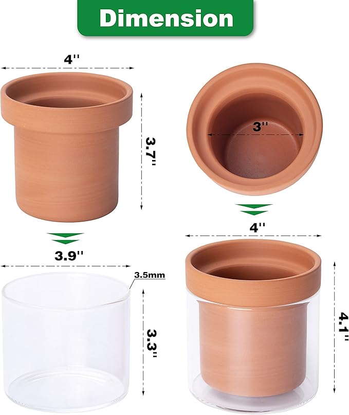 Phoenix Vine 4 Inch Self Watering Planter Pot, Terracotta Clay Pot with Glass Reservoir for Indoor Plants, Herbs, Flowers, Set of 2, 52-A-E-2 - Bloomnest