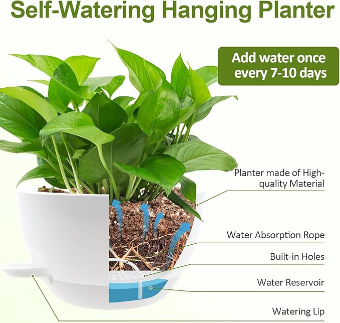 WOUSIWER Self Watering Hanging Planters, 2 Pack 10'' Plastic Pots with Drainage Holes & Reservoir Tray (White) | Indoor & Outdoor Use for Ferns, Ivy, Herbs, Succulents - Bloomnest