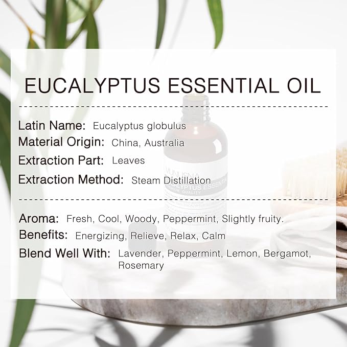 Eucalyptus Essential Oil, Premium Grade Pure Eucalyptus Oils 100ML, 100% Natural Aromatherapy Essential Oil for Shower, Hair, Skin, Diffuser, Massage, Candle, Soap, Bath Bombs Making - Bloomnest
