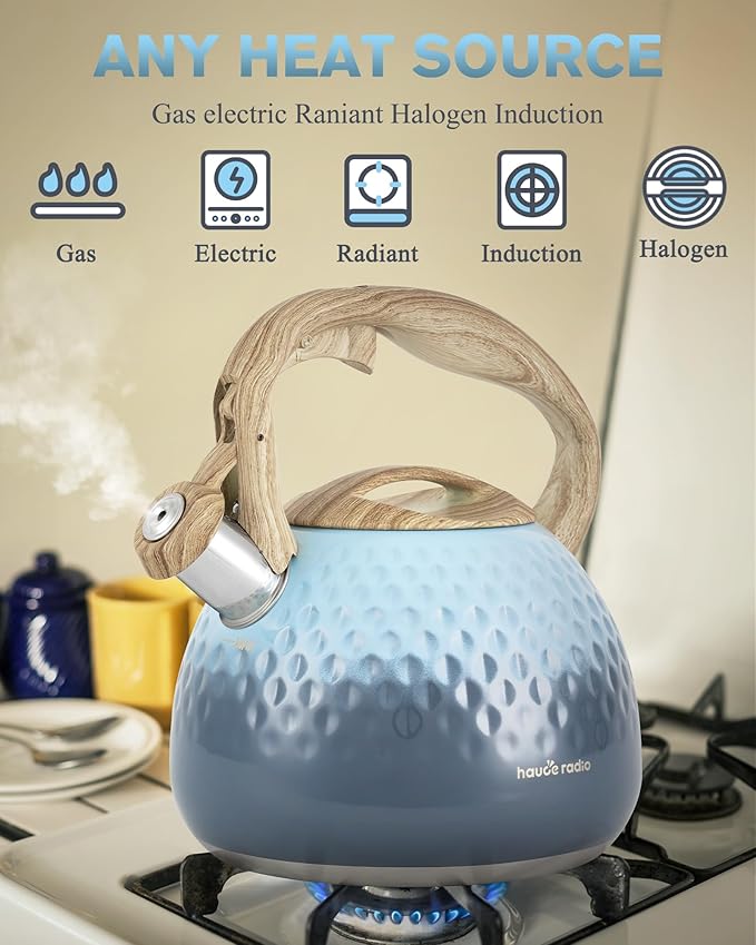 Tea Kettle, Loud Whistle Tea Kettles for Stovetop,Food Grade Stainless Steel Tea kettles for Stove Top with Anti-hot Ergonomic Handlefor Tea, Coffee, Milk,2.5QT - Bloomnest