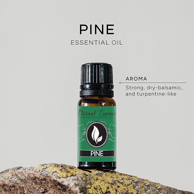 Pine Needle Premium Grade Fragrance Oil - 10ml - Scented Oil EternalEssenceOils