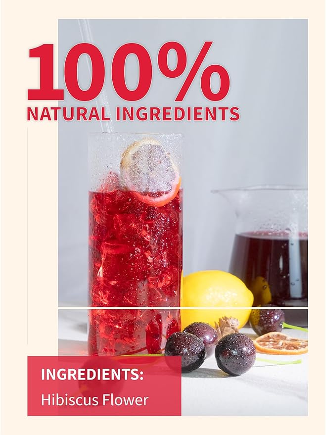 TeeLux Hibiscus Iced Tea, Family Sized Hibiscus Tea Bags, Natural Hibiscus Flowers Herbal Tea, Refreshing Tart Flavor, Caffeine Free, 20 Count - Bloomnest