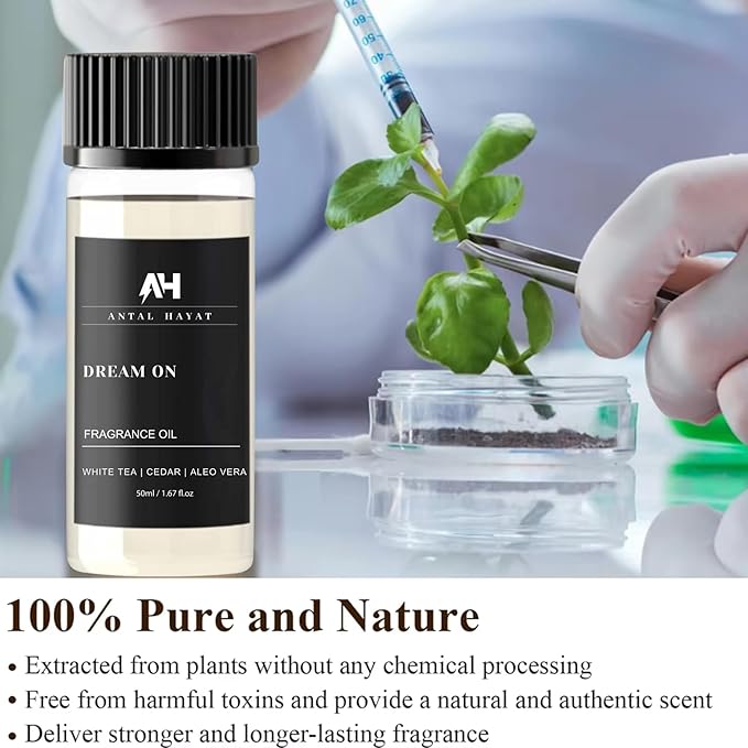 Dream On Essential Oil Scent 50mL - Inspired by Westin Hotel - Home Luxury Scent - Antal Hayat Diffuser Oil - White Tea, Cedarwood, Amber, Musk - Diffuser Oil Blends for Aromatherapy - Bloomnest