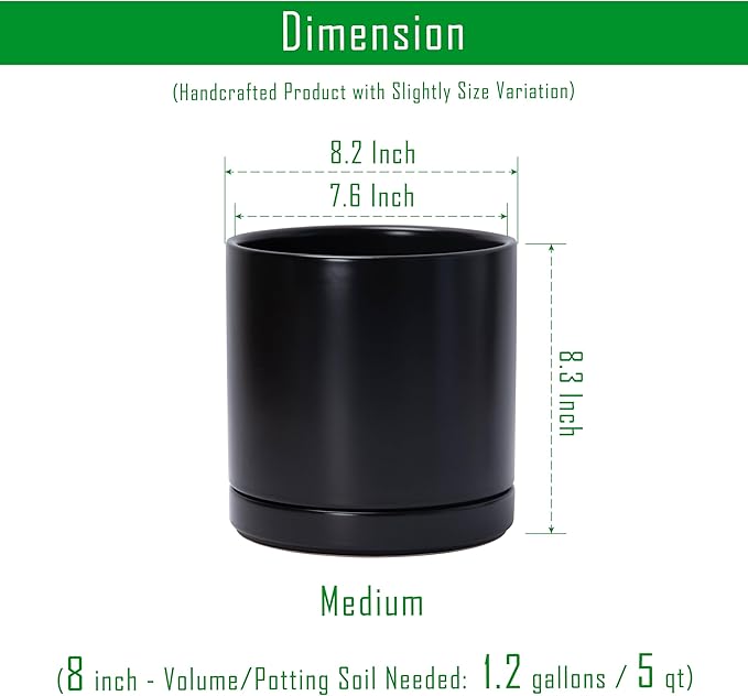 D'vine Dev Set of 2 Plants Pots, 8.2 Inch Ceramic Planter Pot for Plants with Drainage Hole and Saucer, Black, 94-V-D-2 - Bloomnest