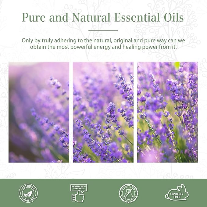 Lavender Essential Oil 1.01fl.oz/30ml, PHATOIL Lavender Oils Long Lasting Scents for Aromatherapy, Diffuser, DIY Soap and Candle Making PHATOIL