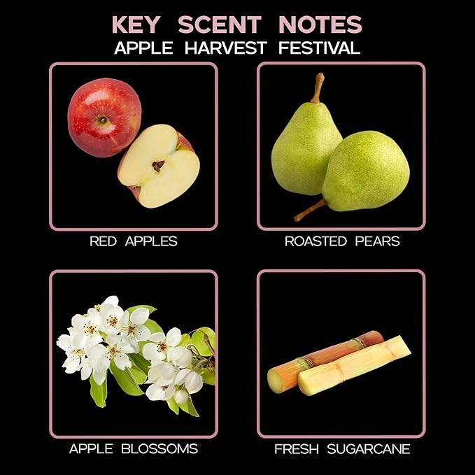 LOVSPA Reed Diffuser Set, Apple Harvest Scented Oil Diffuser with Sticks, Home Fragrance Accessories for Bathroom Shelf Decor, Aroma Diffusers for Home or Office Fall Decor, USA Made LOVSPA