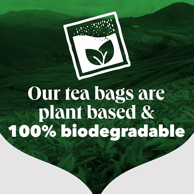 PG Tips Premium Black Tea For a Classic Caffeinated Beverage, Black Tea Bags, 240 Total Bags (40 Count - Pack of 6) - Bloomnest