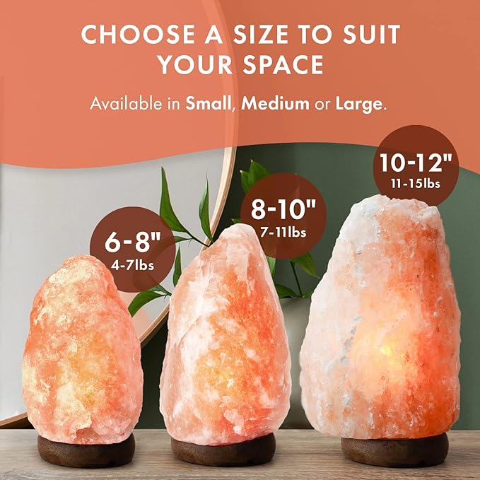 The Body Source Himalayan Salt Lamp | 8-10 in (7-11 lb) | Natural Salt Rock Lamp with Dimmer Switch & Wooden Base | Night Light & Bulb Replacement - Bloomnest