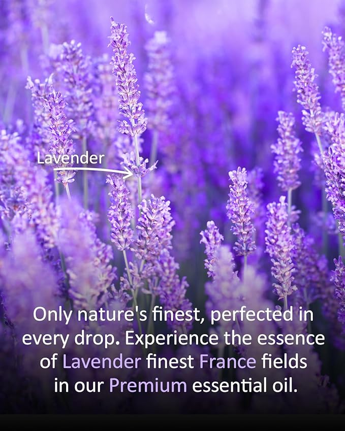 Premium Lavender Essential Oil for Relaxation DIY Diffusers Candles Nails Soaps Shampoo Scented Oil 4 Fl Oz Airoomoil
