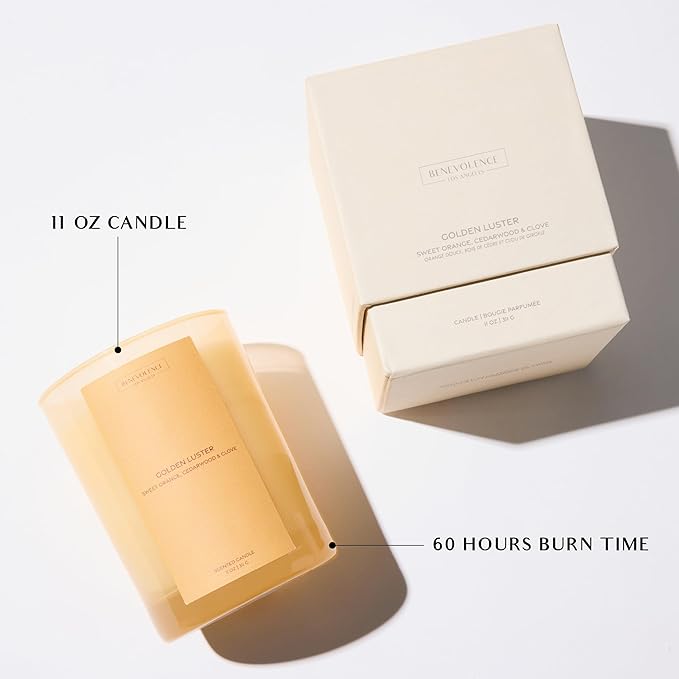 Orange, Cedarwood & Clove Scented Candle | 11oz, 60 Hour Burn | Natural Soy Wax, Cotton Wick | Fall & Holiday Candles | Christmas Scented Candles for Home | Sun-Kissed Collection - Golden Luster - Bloomnest
