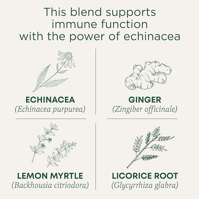 Traditional Medicinals Tea, Organic Immune Zoom Lemon Ginger, Supports Immune Function, 48 Tea Bags (3 Pack) - Bloomnest