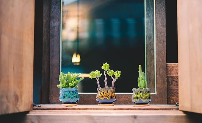 Cute Ceramic Succulent Garden Pots, Planter with Drainage and Attached Saucer, Set of 5 -Plants Not Included (Fambe) - Bloomnest