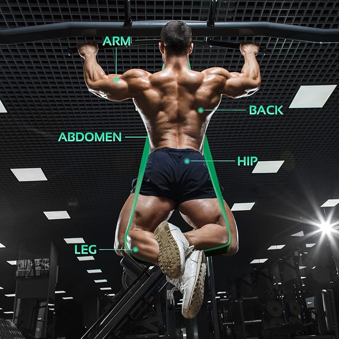 TheFitLife Pull Up Assistance Bands- Resistance Bands for Working Out, Long Workout Bands for Exercise, Fitness Band for Pullup Assist, a Substitute of Dumbbell Set and Kettlebells, Barbell - Bloomnest