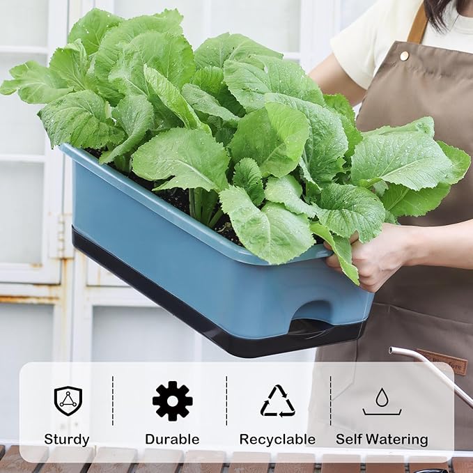 Window Box Planter 6 Pcs, 17 Inches Rectangle Flower Pots with Drainage Holes and Trays, Vegetable Planters for Windowsill Patio Garden Balcony Home Indoor Outdoor (Blue, 18 * 10 * 6 inch) - Bloomnest
