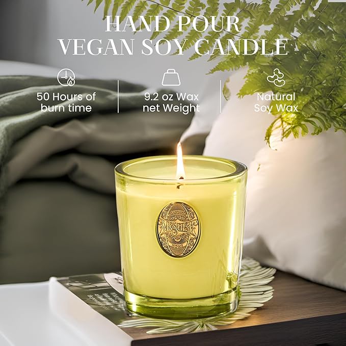 M&SENSE Natural Fresh Soy Candle | White Tea Sage & Matcha Green | 9.2 oz, 50H Burn Time | Luxury Scented Candle for Relaxation, Gifting, Home Décor | Ideal for Bedroom, Office, Party Ambiance - Bloomnest