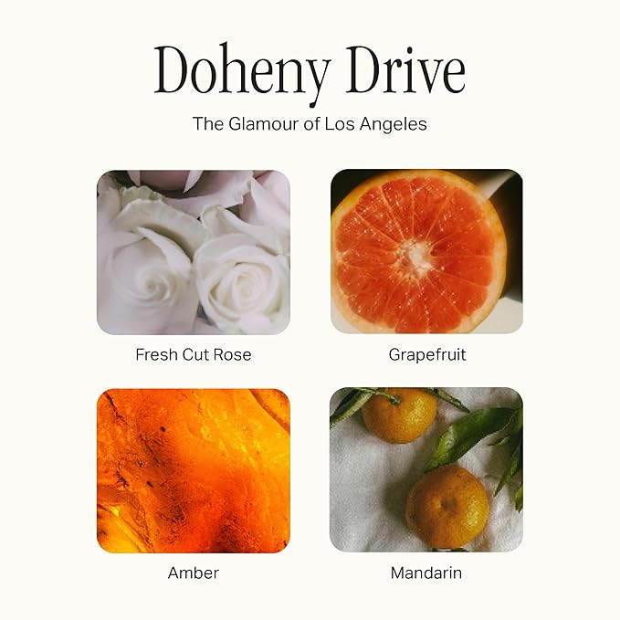 Preston Lane Luxury 2-Wick Scented Candle, Doheny Drive, 7.5 oz Hand-Poured in USA | Long Burn Time (20-30 Hrs), Vegan Soy Wax Blend, Decorative Glass Vessel, Fine Italian Fragrance - Bloomnest