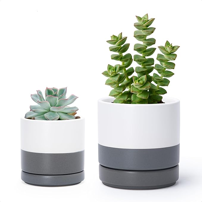 D'vine Dev 3.5 Inch & 4.7 Inch Ceramic Planter Pots for Plants with Drainage Hole and Saucer, X-Small Plant Pots Set, White/Speckled Grey, 94-G-XS-6 - Bloomnest
