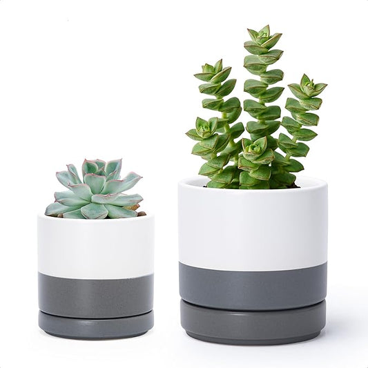 D'vine Dev 3.5 Inch & 4.7 Inch Ceramic Planter Pots for Plants with Drainage Hole and Saucer, X-Small Plant Pots Set, White/Speckled Grey, 94-G-XS-6 - Bloomnest