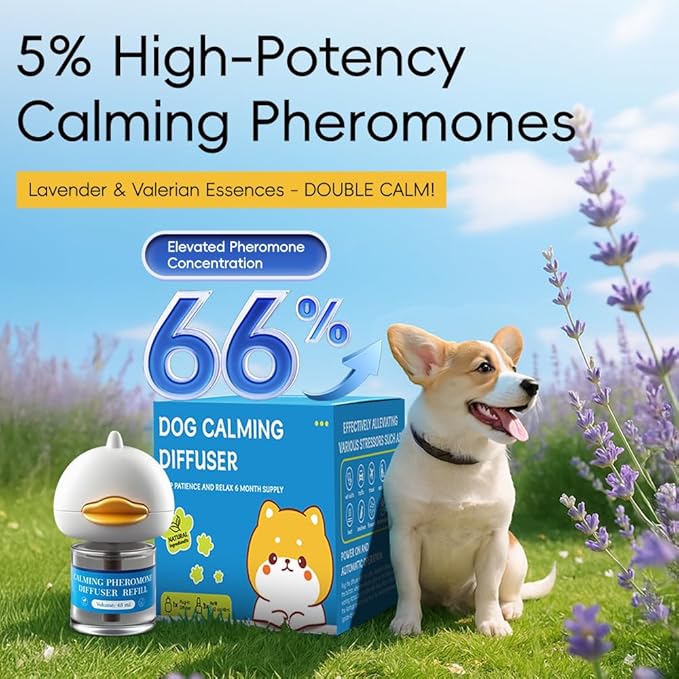 PRO! Dog Calming Diffuser to Stop Peeing in House - Calming Diffusers for Dogs with Pheromones for Anxiety Relief, Pet Calming Aid Device for Dogs Stop Barking and Marking - Bloomnest