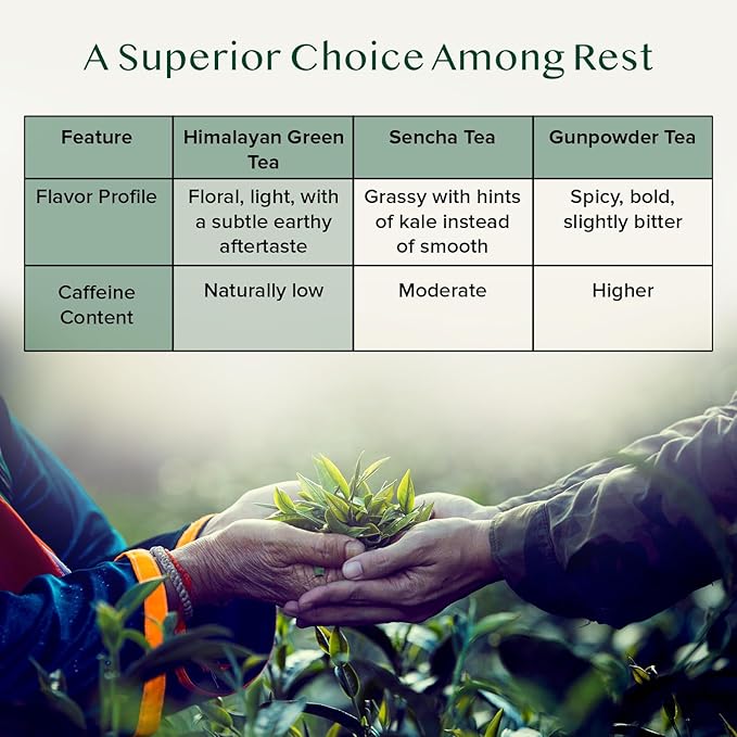 VAHDAM, Ginger Mint Green Tea Loose Leaf (50+ Cups, 3.5oz) Blend Of Ginger Tea & Mint Tea | Pure Green Tea Leaves | High Elevation Grown | Vacuum Sealed - Bloomnest