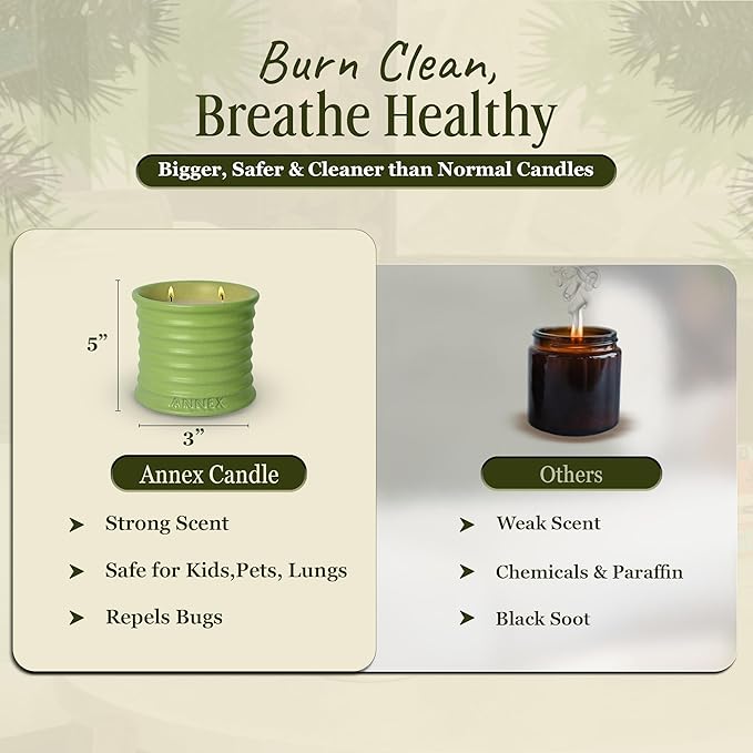 Scented Luxury Candles Outdoor Mosquito Bug Repellent Ceramic Jars, Soy Wax | The Green Life, Large Natural Candle - Green Melon & Peppermint | Non Toxic, 2 Wicks, Reusable Jar - Bloomnest