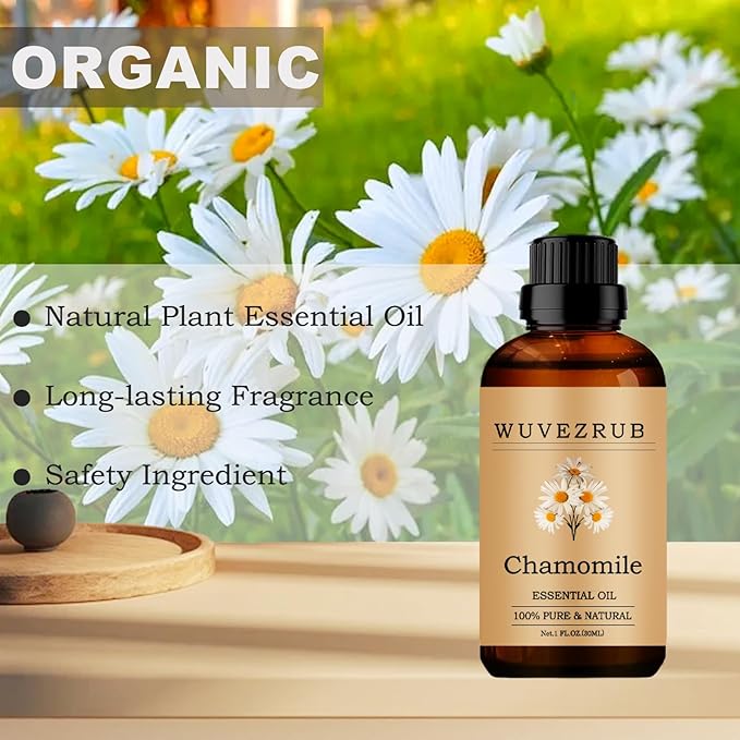 Chamomile Essential Oils, 30ML Pure and Natural Essential Oil for Aromatherapy Diffuser - Chamomile /1 Fl Oz - Bloomnest