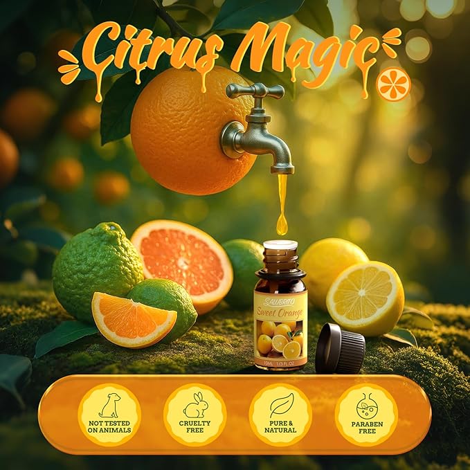 Salubrito Citrus Essential Oils Set for Diffuser, Fragrance Oil | Sweet Orange, Bergamot, Lemon, Grapefruit, Mandarin Orange, Lime Scented Oil for Soap Making, Candle Making - Bloomnest