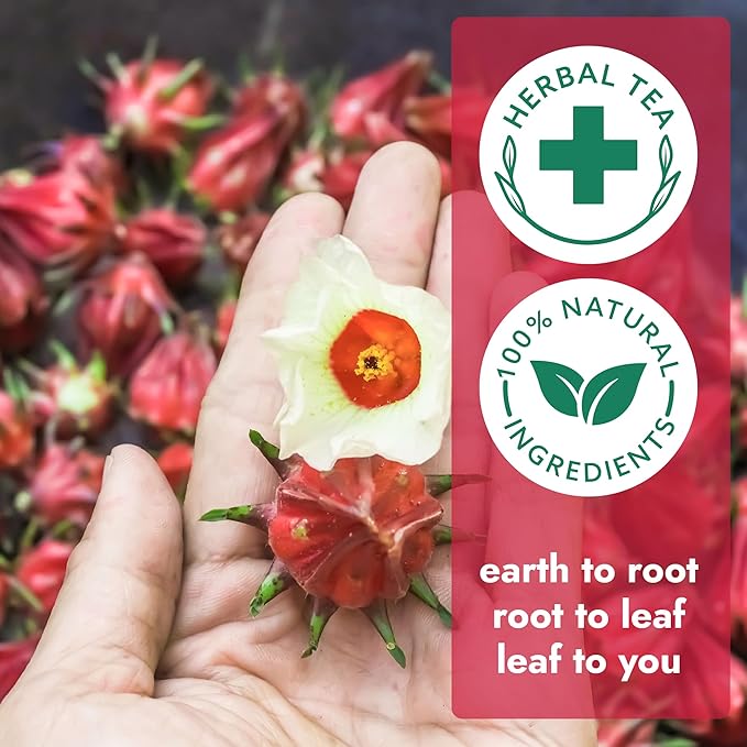 Vital Bloom Hibiscus Tea, 120 Tea Bags, 100% Natural Hibiscus Flowers, Caffein Free, Hot or Cold Brew Herbal Tea, Bleach Free Tea Bags, Non GMO (Free Bamboo Tongs included) - Bloomnest