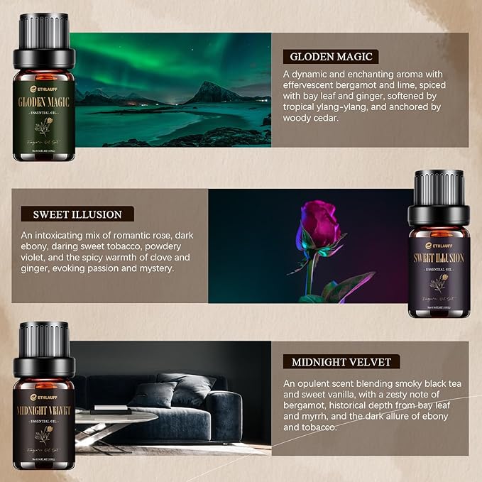 Hotel Diffuser Oils, Hotel Collection Diffuser Oil, Luxury Essential Oil for Diffuser, Soap & Candle Making Scents - 1 Way, Dream State, Coastal Cabine, Gloden Magic - Bloomnest