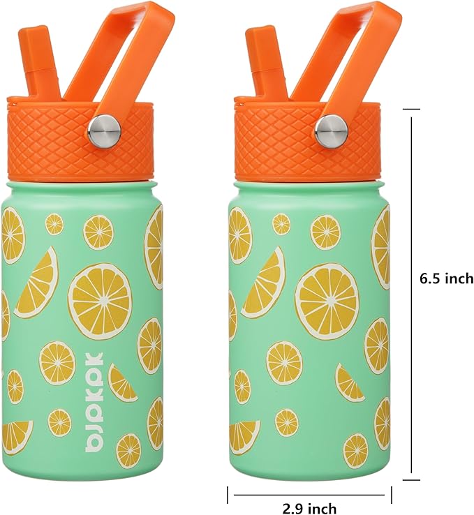 BJPKPK Insulated Water Bottle with Straw Lid, 15 oz Stainless Steel Metal Water Bottles, Reusable Leak Proof BPA Free Thermo, Flask, Cups - Elegant Lemon - Bloomnest
