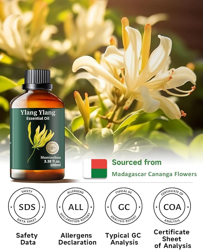 Mumianhua 100% Pure Ylang Ylang Essential Oil Natural Ylang Ylang Oil for Diffuser, Perfumes, Aromatherapy, DIY,Skin, Hair, Candle, Soap Making 3.38 Fl Oz - Bloomnest