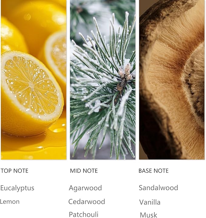 Hotel Waterless Diffuser Oil Oud Wood, Essential Scent Oil Usage Cold Air Waterless Diffuser, Luxury Scents Oils Fragrance Bottle120 ML Home Natural Flavour - Bloomnest