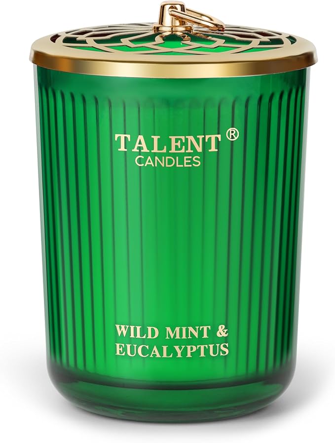 Jar Candles for Home Scented, Aromatherapy Candles Gifts for Women & Men, Natural Soy Candle, 8.4oz Traditional Style, Wild Mint & Eucalyptus - Bloomnest