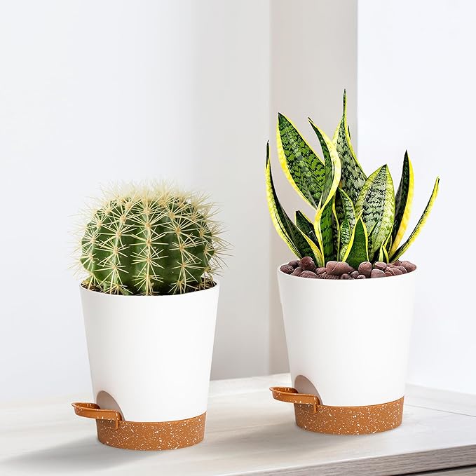 4 inch Small Plant Pots for Outdoor Indoor Plants, 5 Pack Planters with Drainage Holes and Tray, Small Self Watering Pots for Succulent,Cactus, Aloe and Other Plants (White) - Bloomnest
