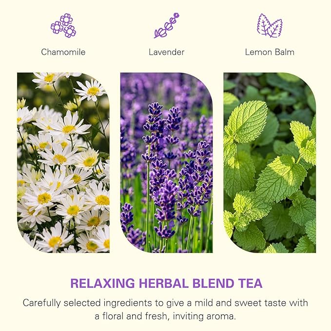 WT WEETEE Chamomile Lavender Tea Bags 100 Count, Nighty & Relax, 100% Pure Chamomile, Lavender Flowers & Lemon Balm Blend, Natural Caffeine-free Herbal Tea Ideal for Bedtime - Bloomnest