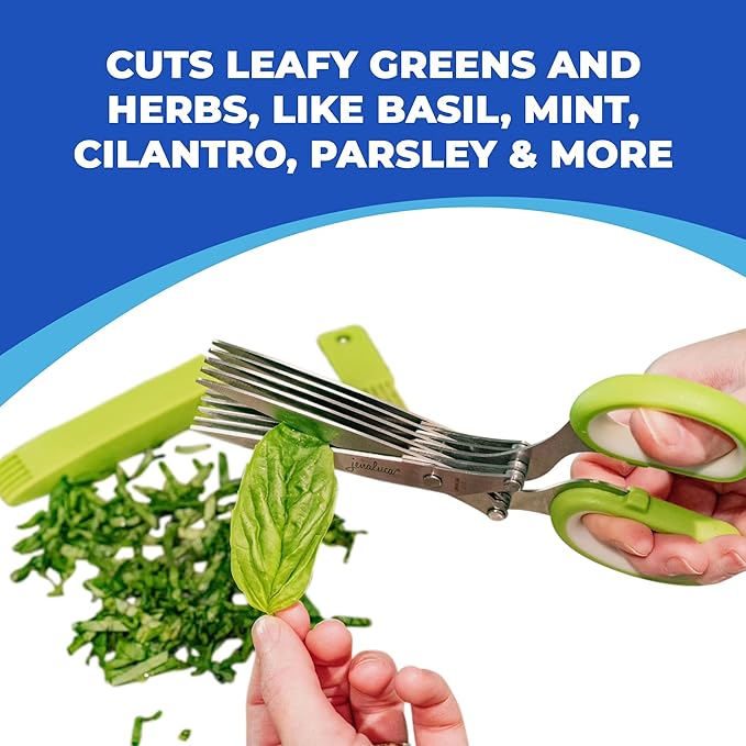 Jenaluca 5 Blade Herb Scissors - Salad Scissors - Cut & Chop Fresh Herbs & Leafy Greens - Stainless Steel Kitchen Shear Set with Cleaning Comb & Safety Cover - Kitchen Gadget - Black - Bloomnest