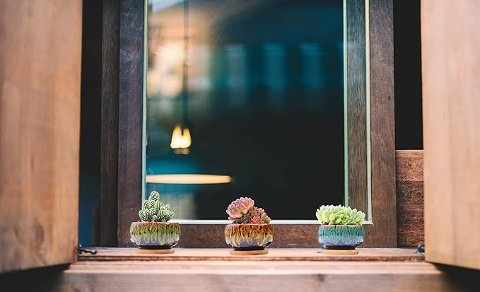 Cute Ceramic Succulent Garden Pots, Planter with Drainage and Attached Saucer, Set of 5 -Plants Not Included (Round) - Bloomnest