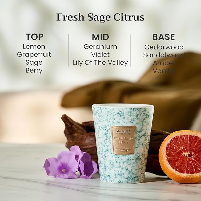 M&SENSE FreshSage Citrus Scented Candles for Home, Lead-Free Wick Highly Scented Jar Candles, 14.1 Oz 80 Hours Lasting Burning Candles Gifts for Women, Relaxing Aromatherapy Candle for Stress Relief - Bloomnest