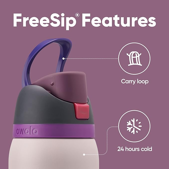 Owala FreeSip Insulated Stainless Steel Water Bottle with Straw for Sports, Travel, and School BPA-Free Sports Water Bottle, 32 oz, Dreamy Field Owala