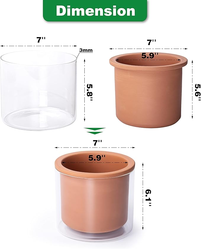 Phoenix Vine 6 Inch Self Watering Plants Pot, Design Terracotta Pot for Plants, Indoor Cylinder Terra Cotta Planter with Glass Vase, Set of 1, 51-A-F-1 - Bloomnest